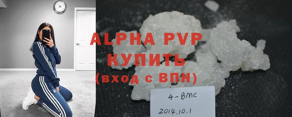 тгк Дмитров