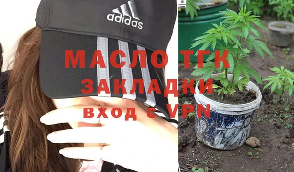 тгк Дмитров