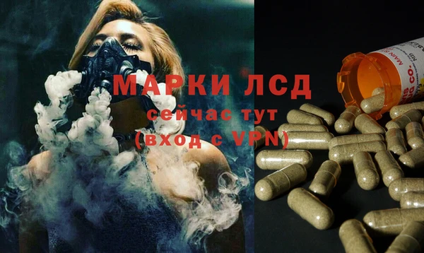 амф Заволжье