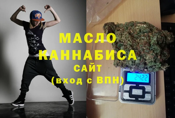 тгк Дмитров