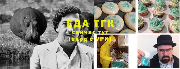 тгк Дмитров