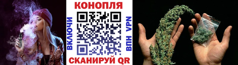 Купить закладки  Уварово  МАРИХУАНА сатива 